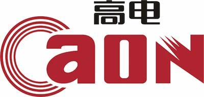 高甸技術有限公司